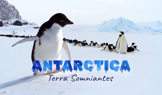 Scientists explain what life is like in Antarctica