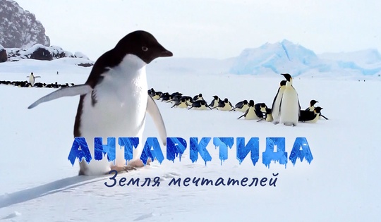 Континент свободы или как устроена жизнь в Антарктиде 