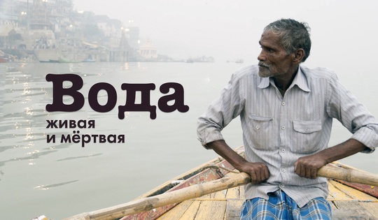 Почему реки Индии могут быть смертельно опасны для людей и животных