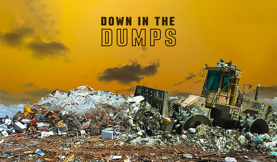 How to convert toxic dumps into urban parks?