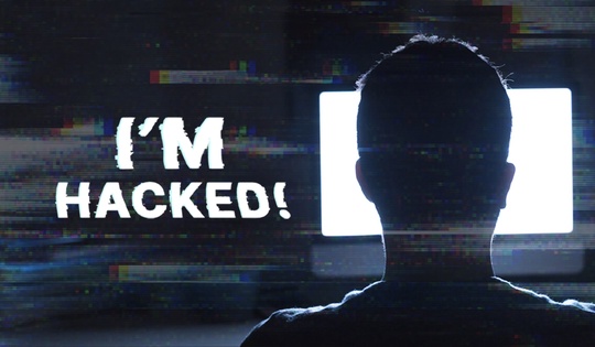 Top programmers expose sophisticated cybercrimes