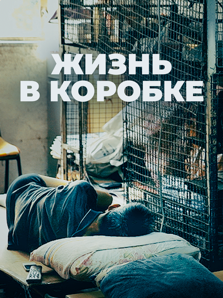 Жизнь в коробке