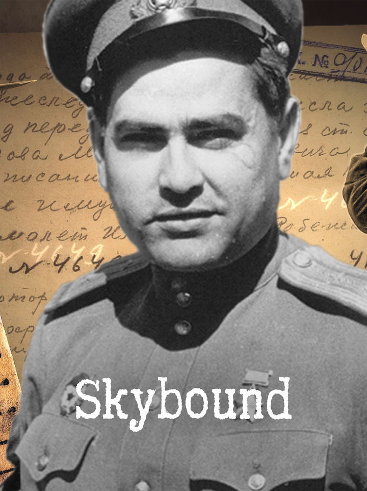 Legendary WWII pilot's plane found more than 70 years after crash 