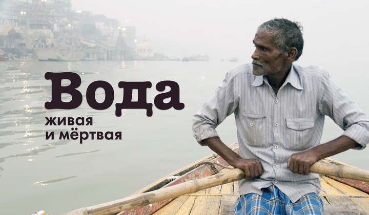 Почему реки Индии могут быть смертельно опасны для людей и животных