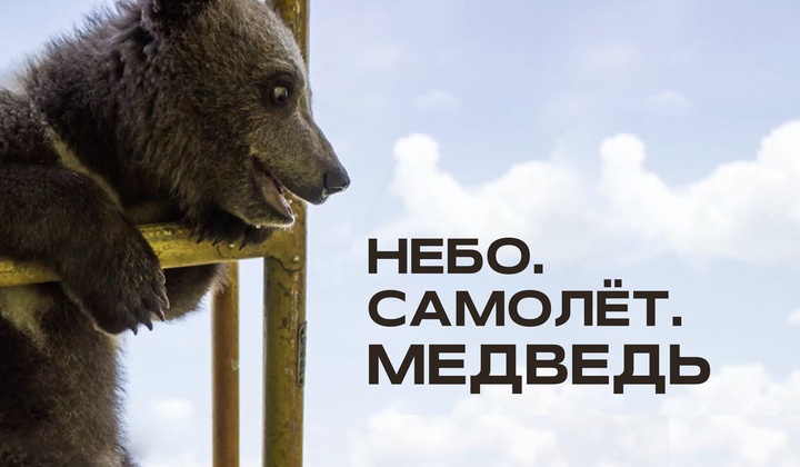 История Мансура — медвежонка, который стал знаменитым 