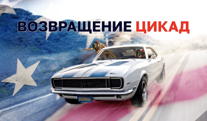 Американцы встречают нашествие цикад фестивалями и вечеринками 