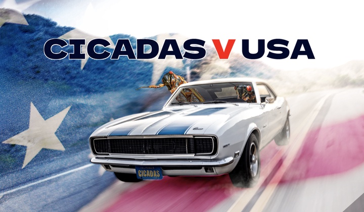 Altering daily routines and inspiring creativity, cicadas change the lives of US residents