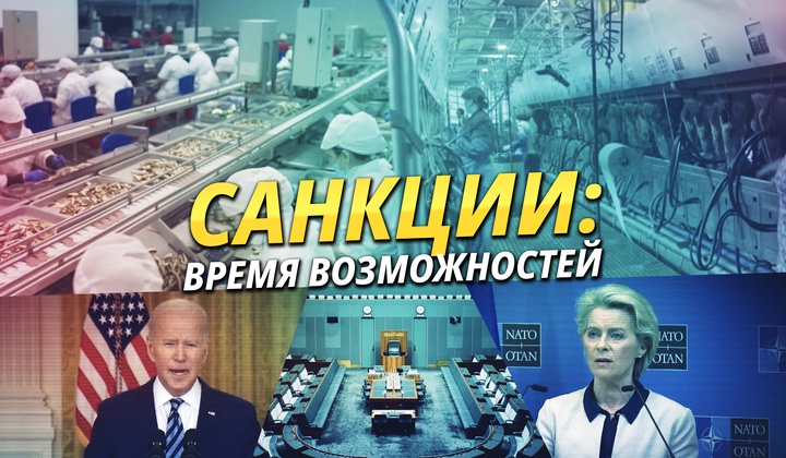 Новые возможности или как санкции пошли на пользу бизнесу