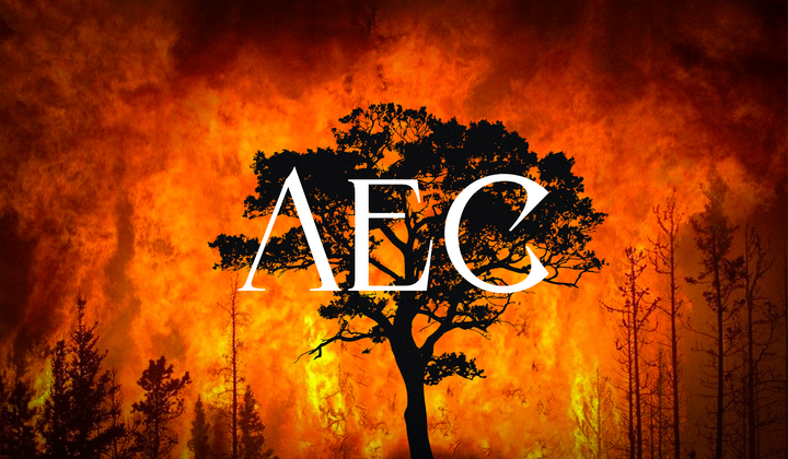 Что не сгорит — вырубим и продадим. Куда уходит русский лес 