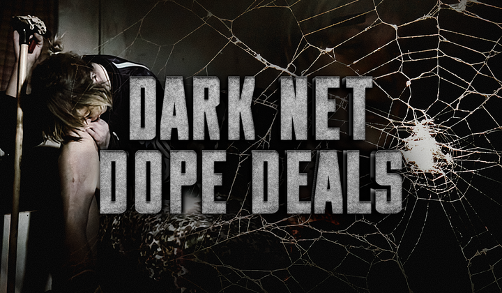 Cybersecurity experts fight the shadow network of drug trade 