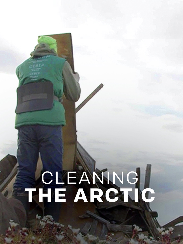 Volunteers save North from century-old litter