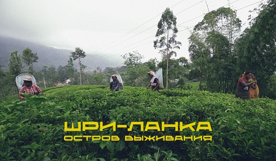 Как экономику Шри-Ланки уничтожили санкции против России 