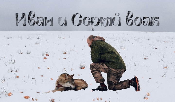 Как встретились и стали жить-поживать Иван и Серый волк?