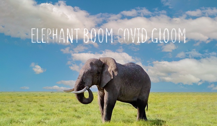 How Kenya’s economy survived the lockdown