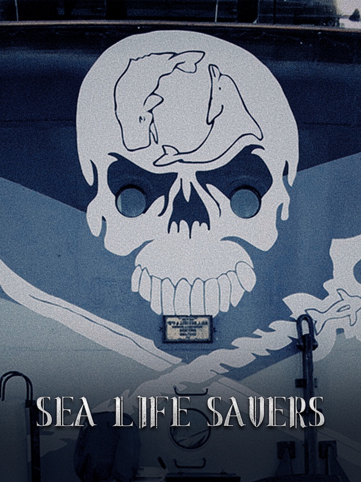 Gabon government collaborates with ‘pirates’ to safeguard its thriving marine life