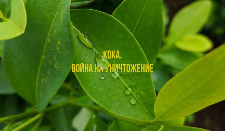 Фермеры Колумбии борются с властями и наркокартелями 