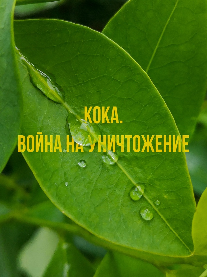 Фермеры Колумбии борются с властями и наркокартелями 