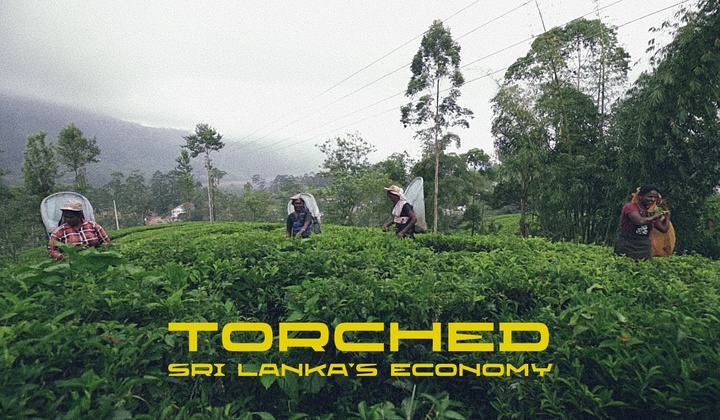 Unravelling Sri Lanka's crisis: From fuel shortage to political unrest and economic collapse 