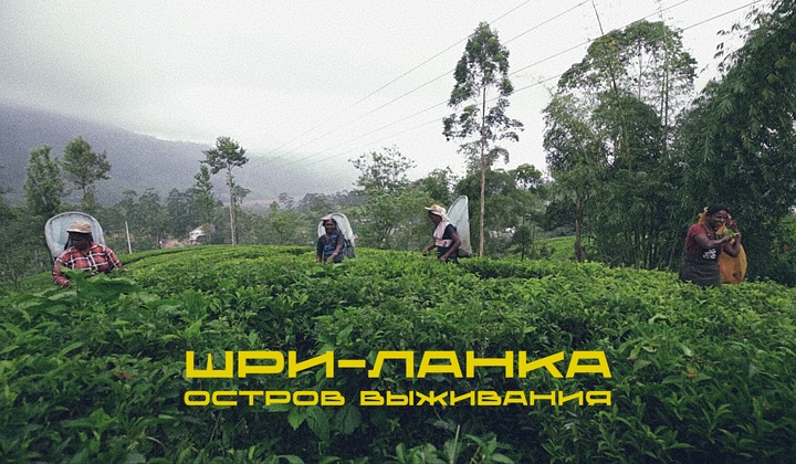 Как экономику Шри-Ланки уничтожили санкции против России 
