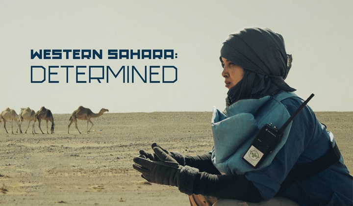 Sahrawi women risk their lives to clear ancestral lands littered with mines