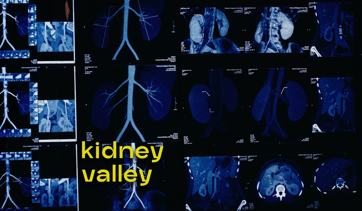 Nepalese villagers fall victim to a thriving organ black market