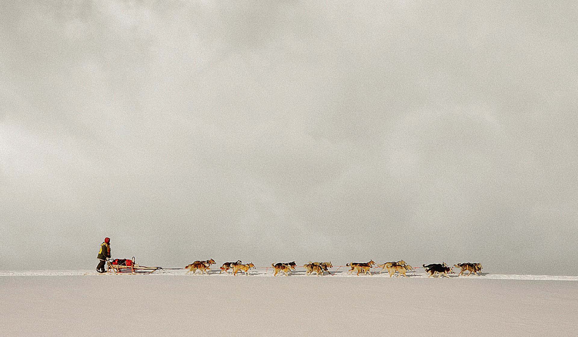 Большая гонка. Наперегонки со стихией