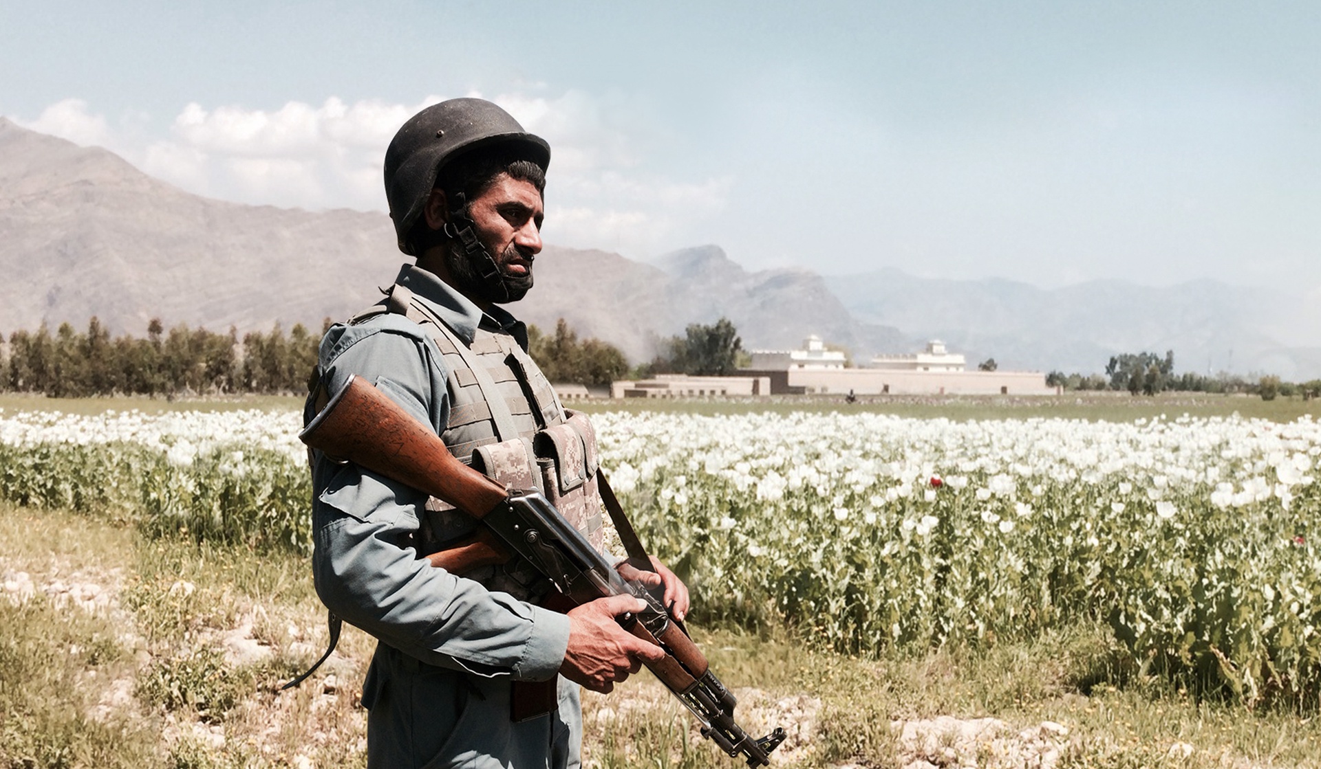 Afghan Overdose