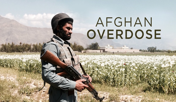 The lost battle against opium farmers