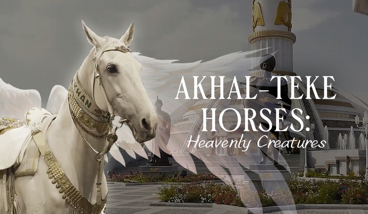 Spectacular horses from Turkmenistan shatter world records