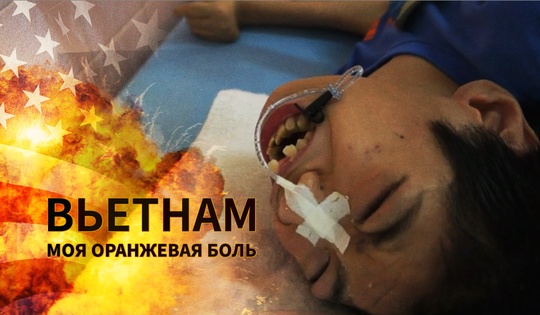 Devastating consequences of the use of Agent Orange in the Vietnam War