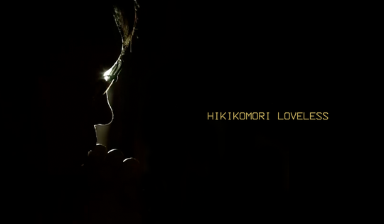 What causes young Japanese hermits to give up on real life