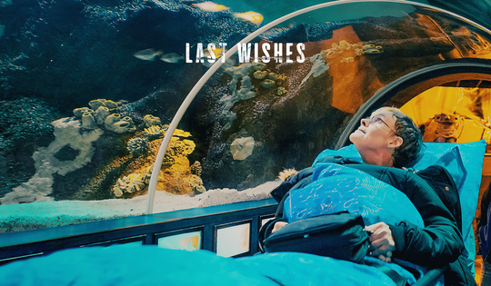 A foundation grants final wishes to the terminally ill