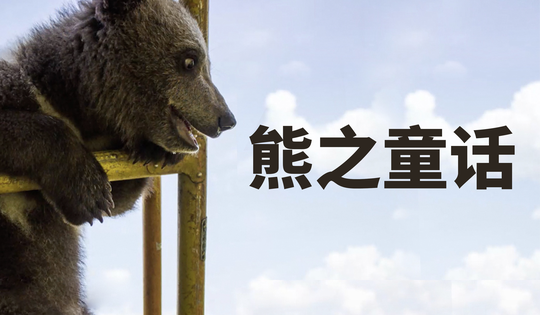 棕熊成为俄罗斯飞行员的宠物