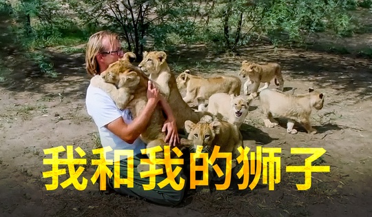 他卖掉了一套公寓前往南非与狮子生活在一起