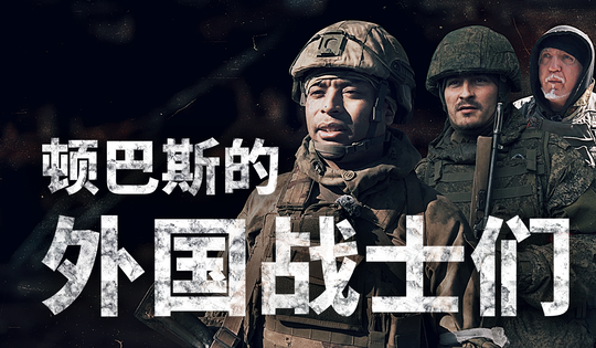 反对乌克兰新纳粹主义的外国志愿兵