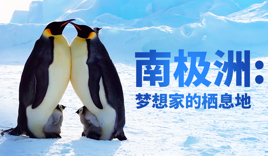南极洲的生活是如何的呢