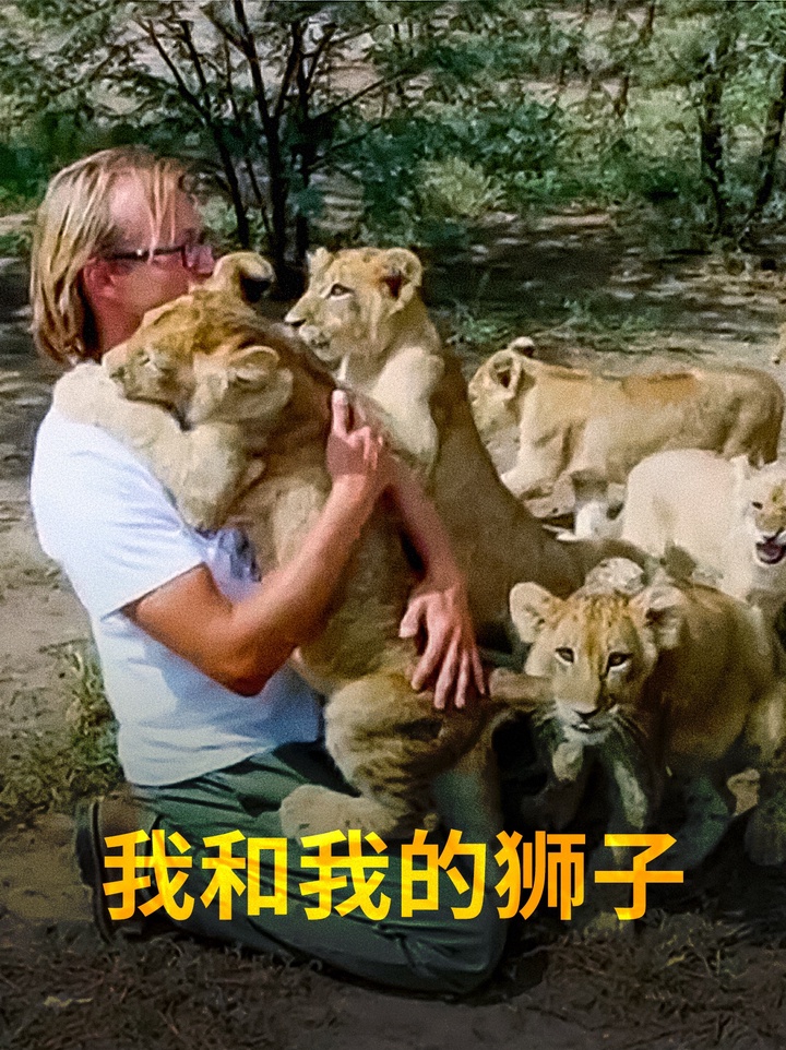 他卖掉了一套公寓前往南非与狮子生活在一起