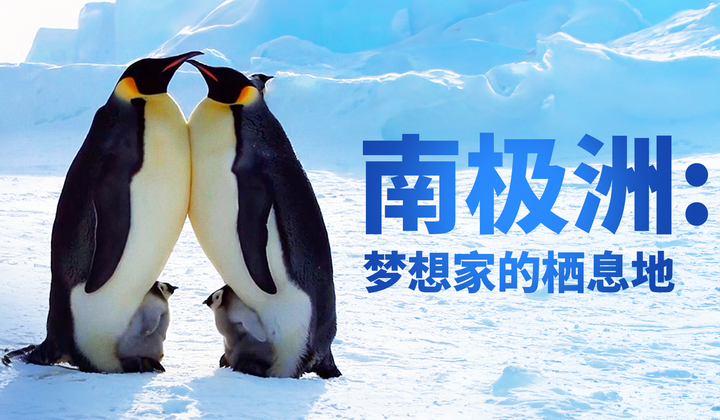 南极洲的生活是如何的呢