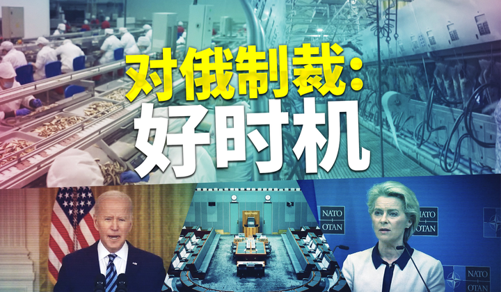 俄罗斯如何应对制裁的冲击？