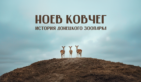 Как в одном селе спасают тысячи животных со всего Донбасса