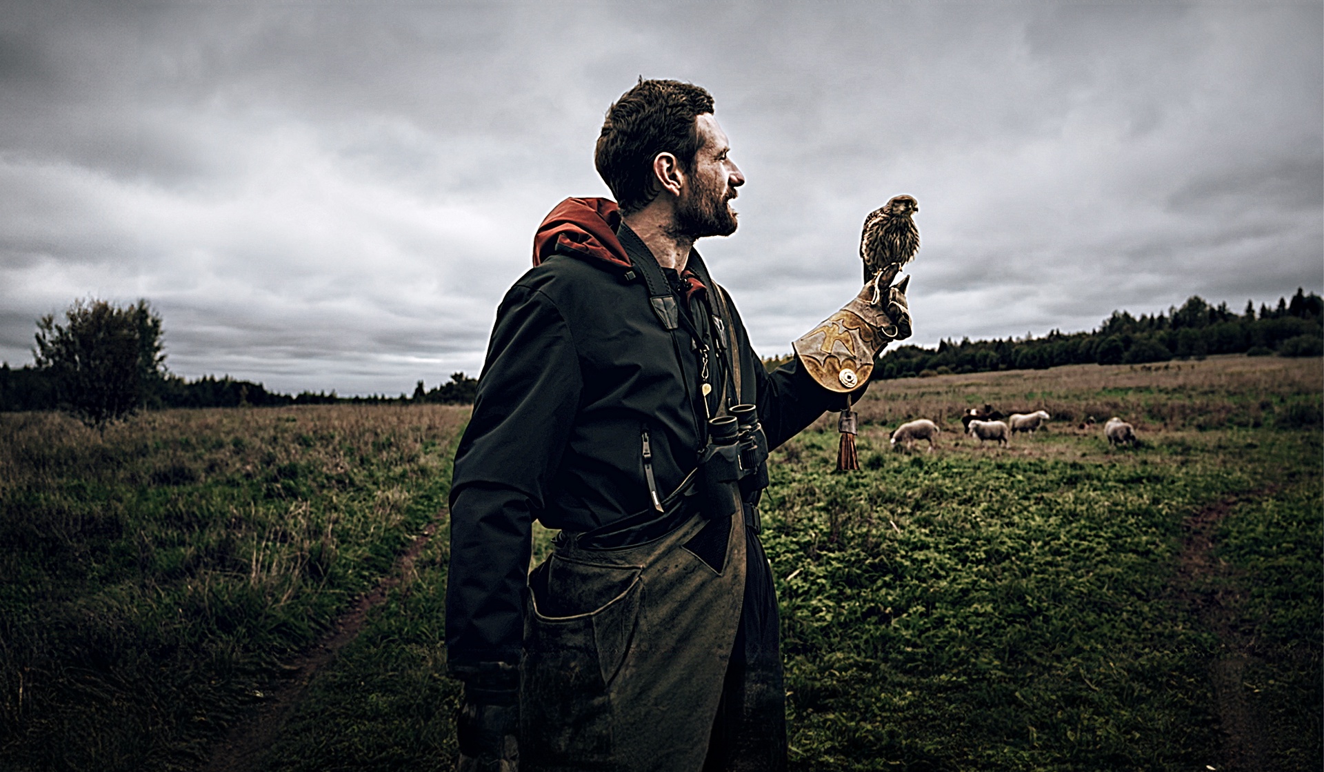 Сокольники нашего времени