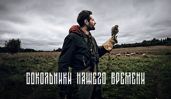 Теряю крылья: как сокольники переживают смерть ловчих птиц