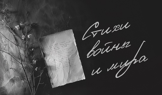 Стихи поэтов-военкоров прозвучали в Луганске и на передовой