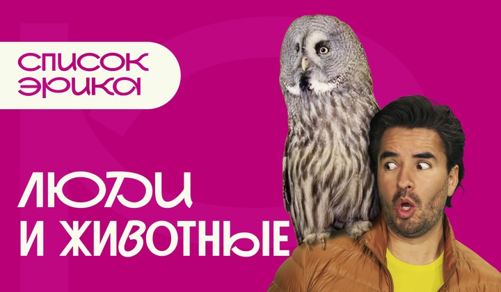 Приключения латиноамериканца в России