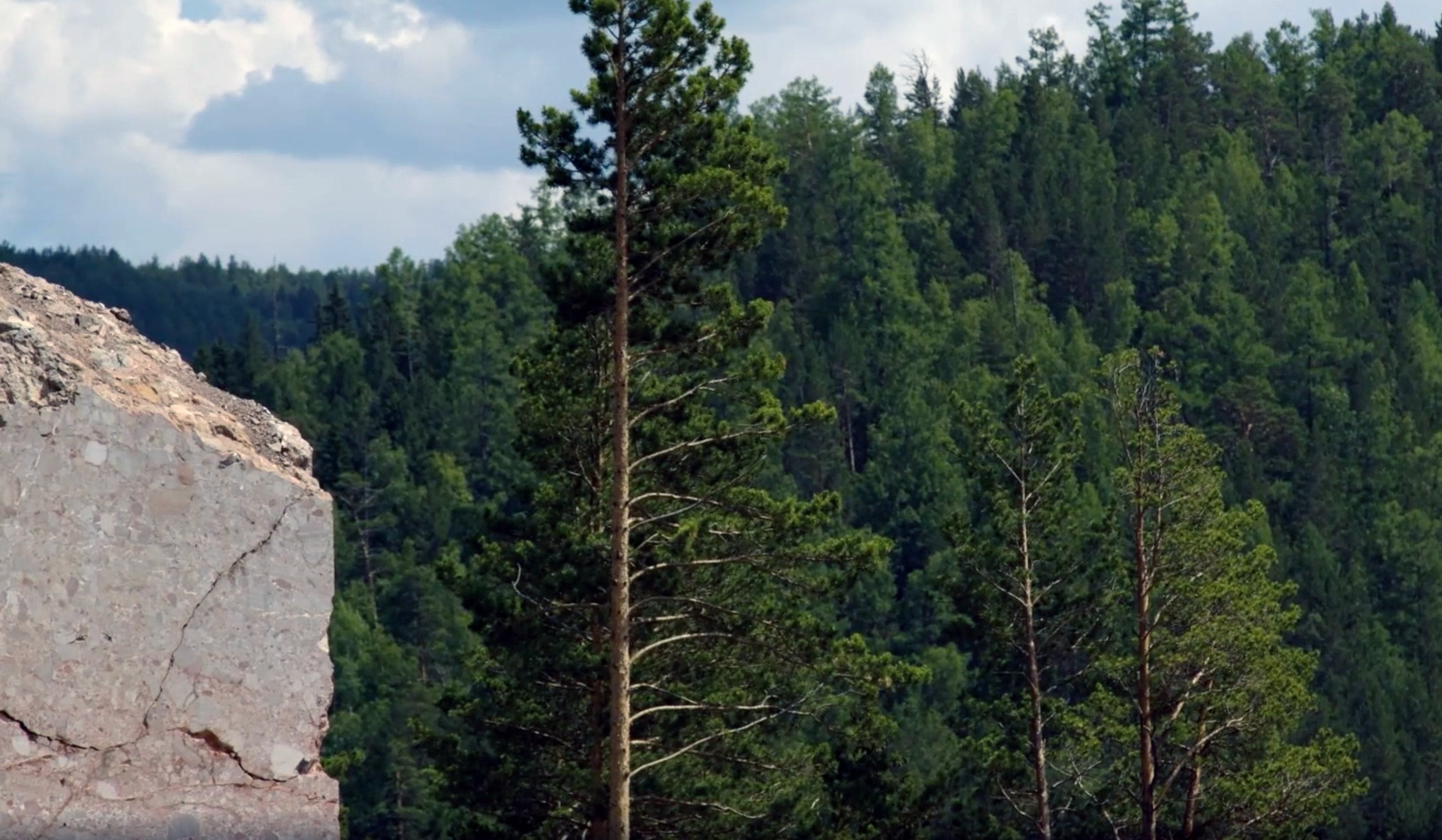 Это навсегда