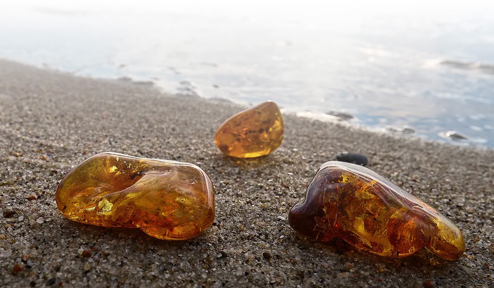  Секреты «балтийского золота»