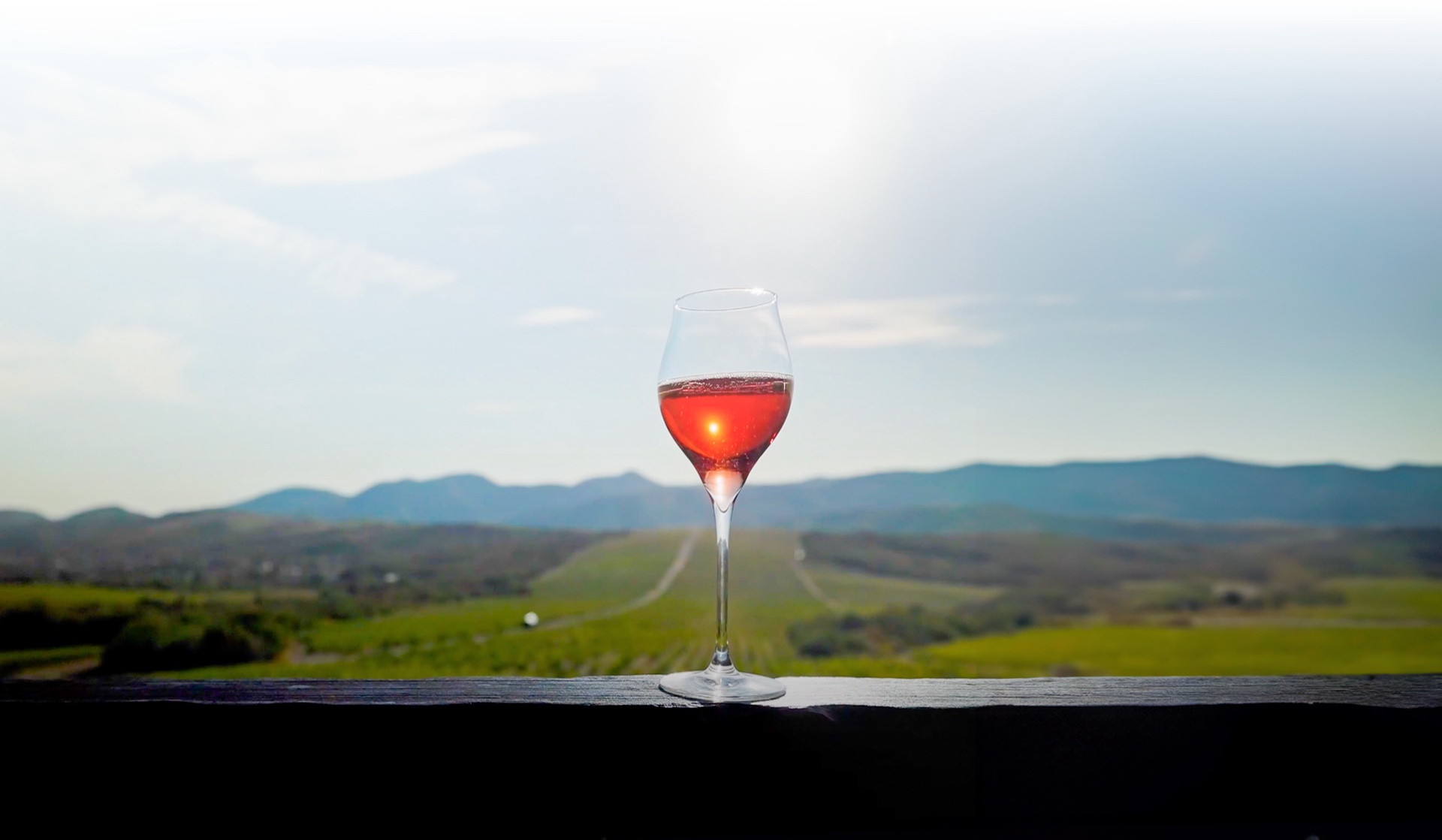 Discovering Russia’s Wine Country