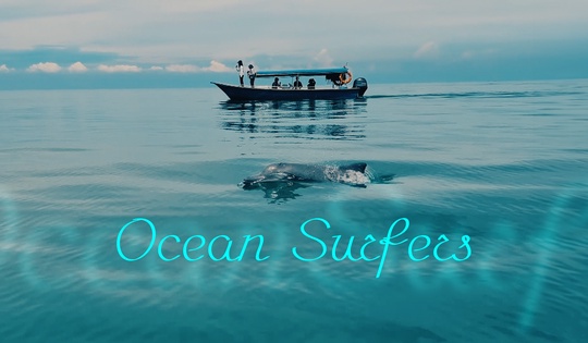 Malaysian marine researchers work to ensure dolphin preservation