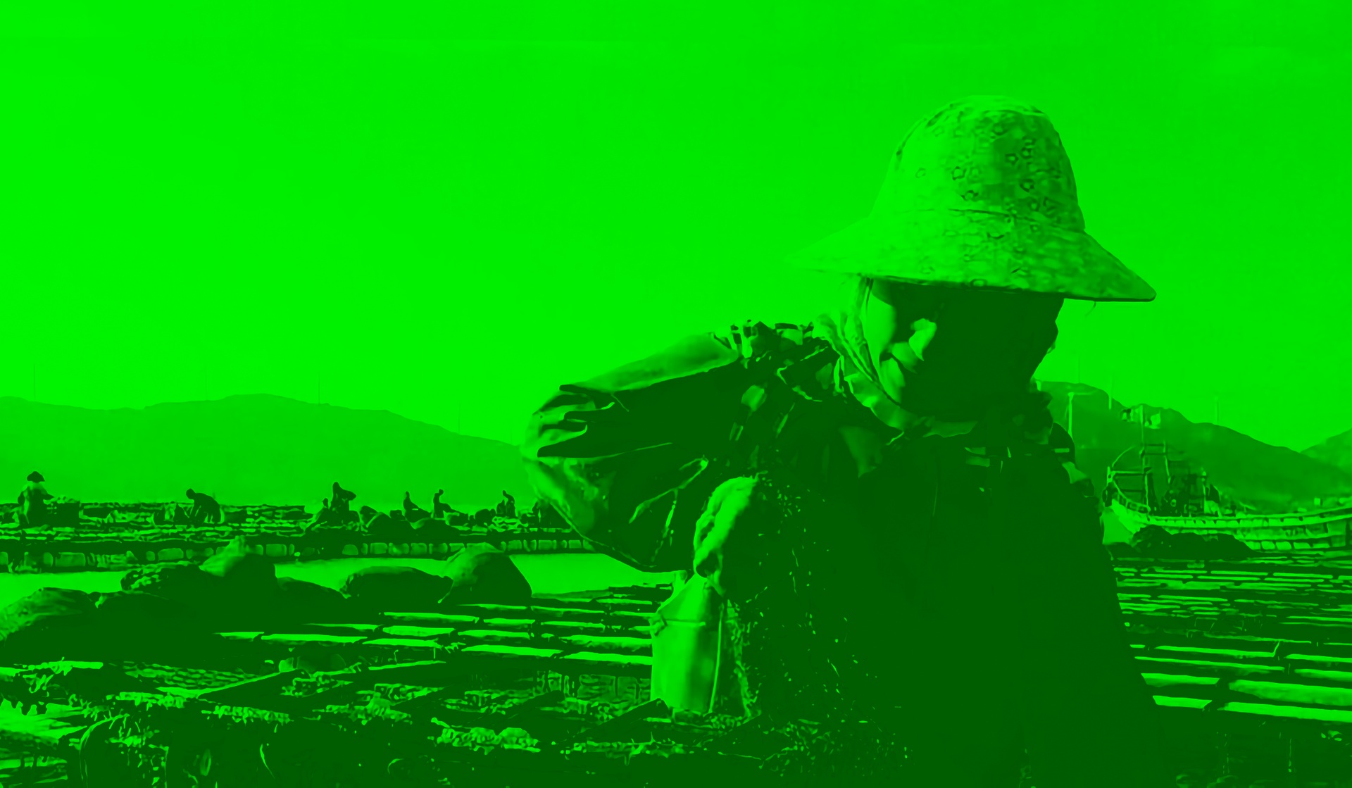 Discovering China’s Agricultural Traditions and Innovations