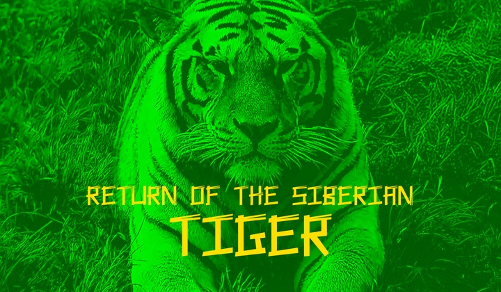 The Chinese-Russian Cooperation in Saving and Growing the Siberian Tiger Population